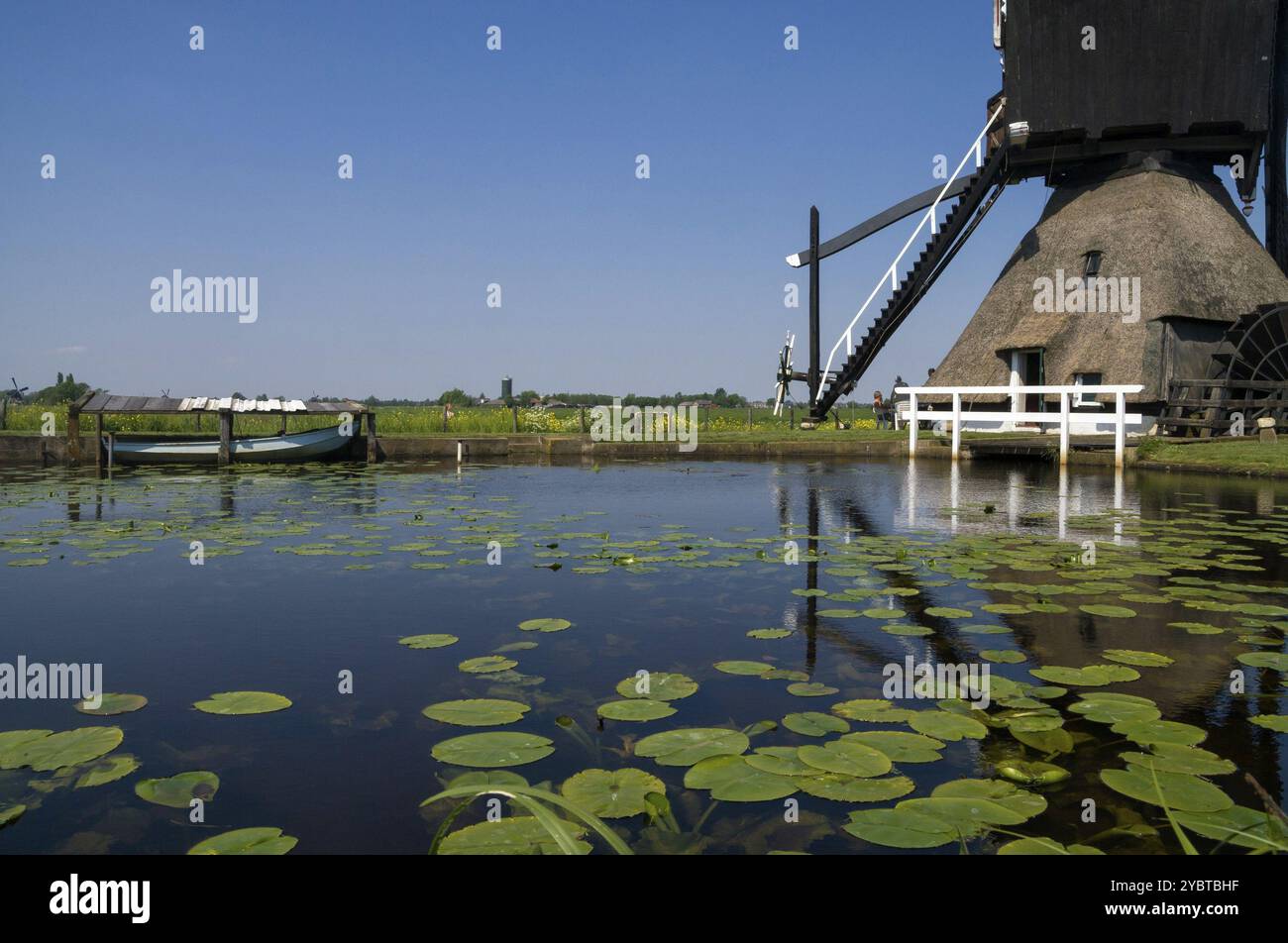 Le Broekmill près de Streefkerk dans la région de l'Alblasserwaard Néerlandais Banque D'Images