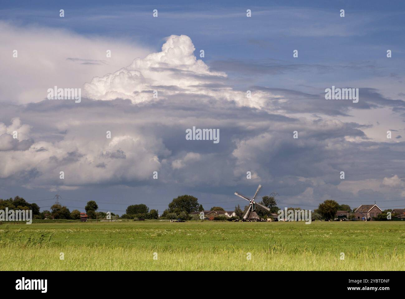 De gros nuages au-dessus d'un pré vert près de la Dutch village Oud-Alblas dans la région Alblasserwaard Banque D'Images