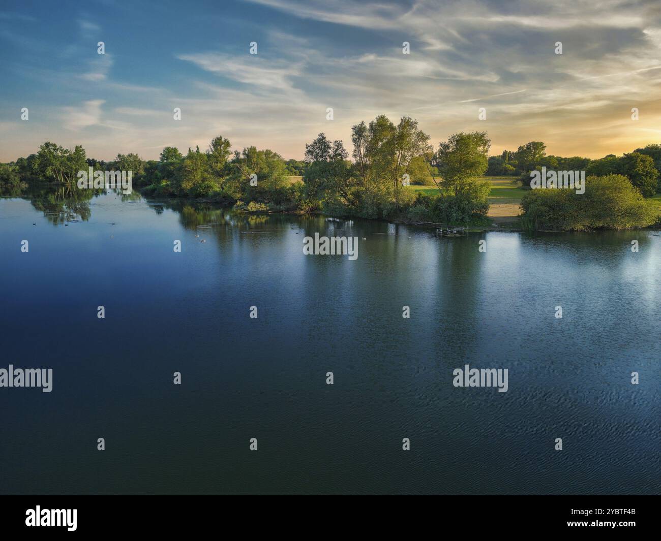 Canards se rassemblant sur le miroir du lac. Soirée sur le lac au soleil couchant Banque D'Images