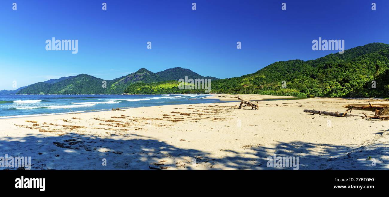 Plage de Castelhanos entre la mer, les montagnes et les forêts de l'île d'Ilhabela sur la côte de Sao Paulo Banque D'Images Plage de Castelhanos entre la mer, les montagnes et les forêts de l'île d'Ilhabela sur la côte de Sao Paulo Banque D'Images