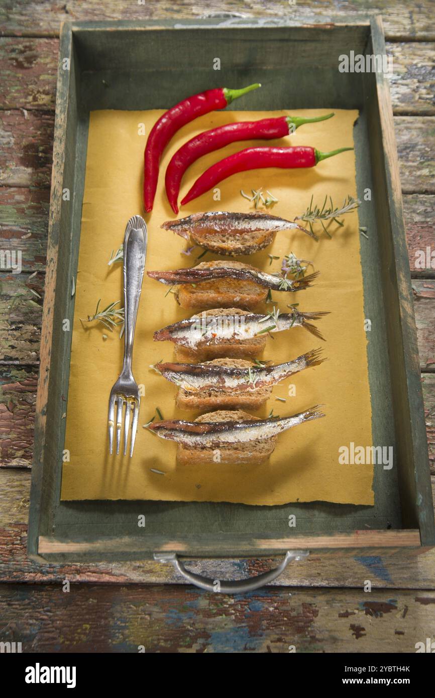 Présentation d'une collation à base d'anchois au Chili et de pain complet Banque D'Images