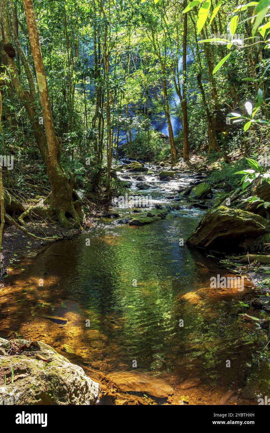Végétation dense de forêt tropicale traversée par la rivière au milieu des rochers avec la cascade cachée en arrière-plan derrière les arbres à Minas Gerais, Brésil Banque D'Images Végétation dense de forêt tropicale traversée par la rivière au milieu des rochers avec la cascade cachée en arrière-plan derrière les arbres à Minas Gerais, Brésil Banque D'Images