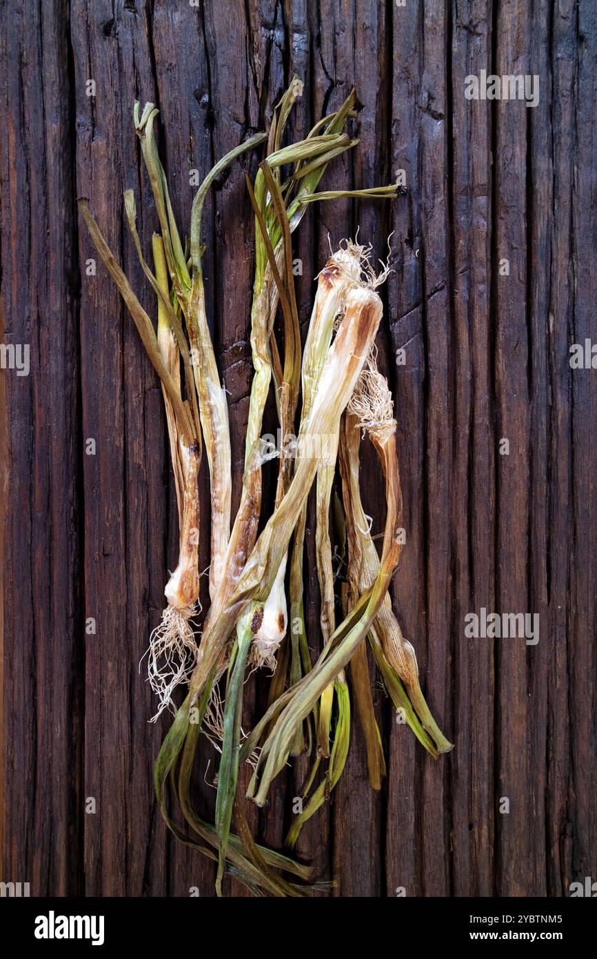 Présentation photographique d'un bouquet d'oignons blancs séchés au four sur une base en bois Banque D'Images