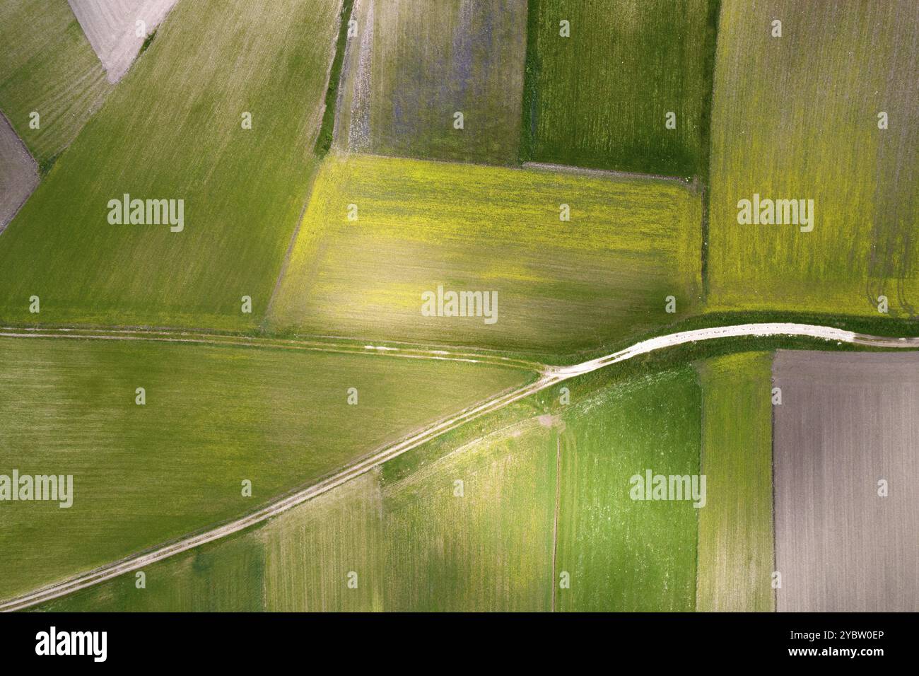 Vue aérienne de la composition géographique des champs cultivés Banque D'Images