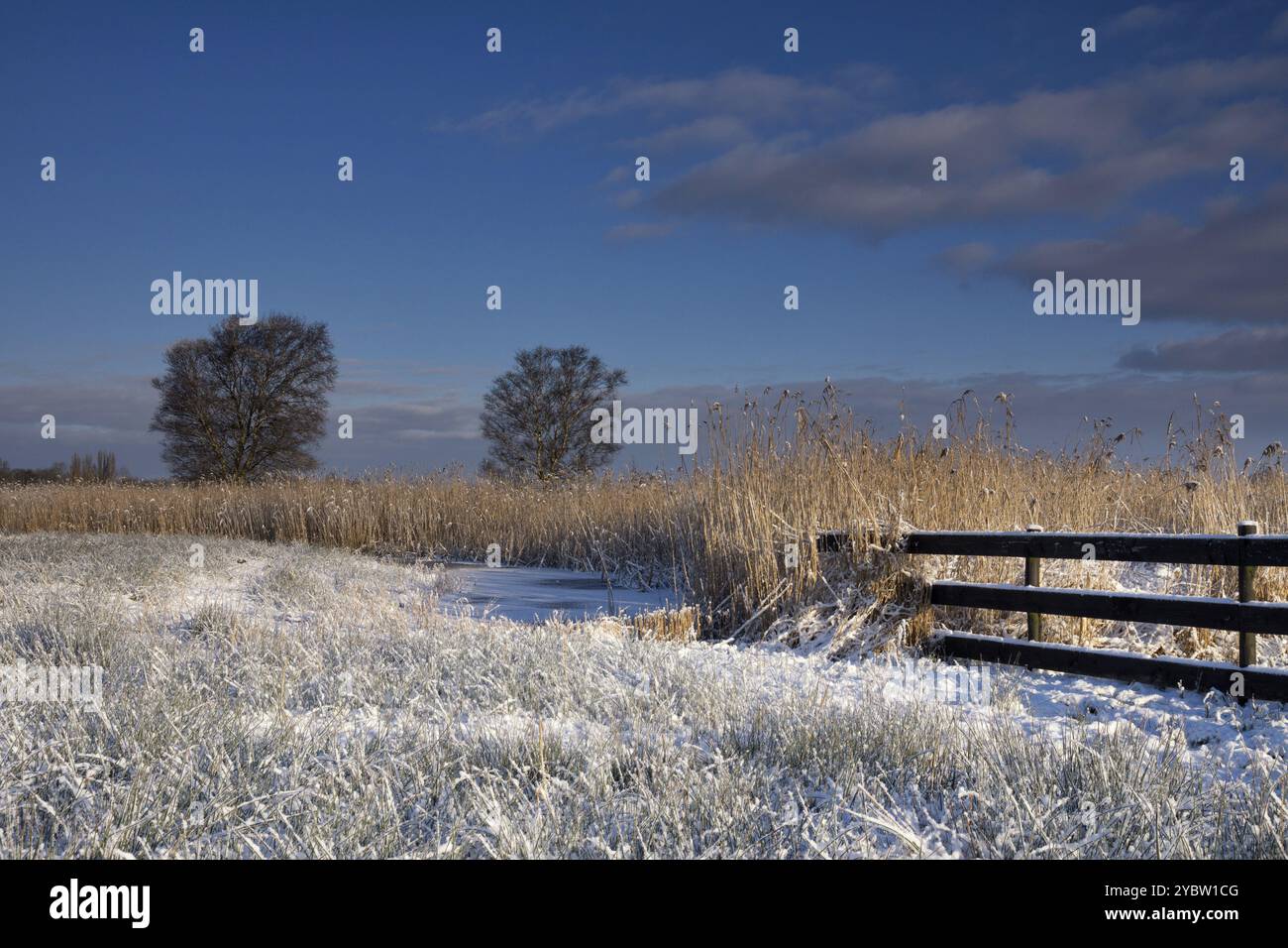 Paysage couvert de neige près du village hollandais de Lemmer dans le Province Frise Banque D'Images