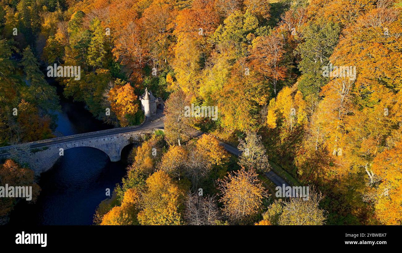 Pont d'Avon Pont sur la rivière Avon à Ballindalloch Moray Écosse entouré de grands arbres aux couleurs automnales vibrantes Banque D'Images