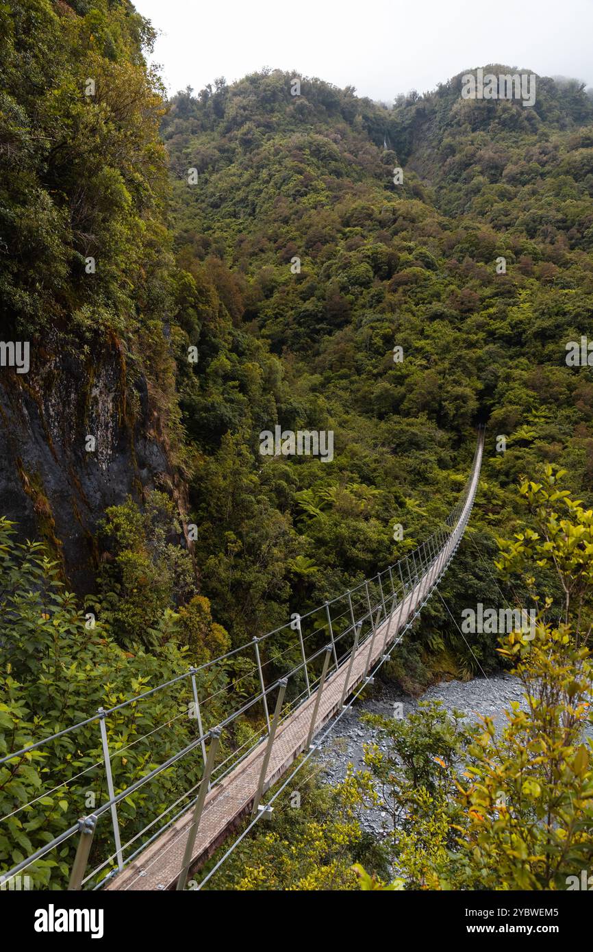 Grand pont suspendu reliant des forêts verdoyantes sur la piste de Robert's point en direction du glacier Franz Josef (Île du Sud, Nouvelle-Zélande) Banque D'Images