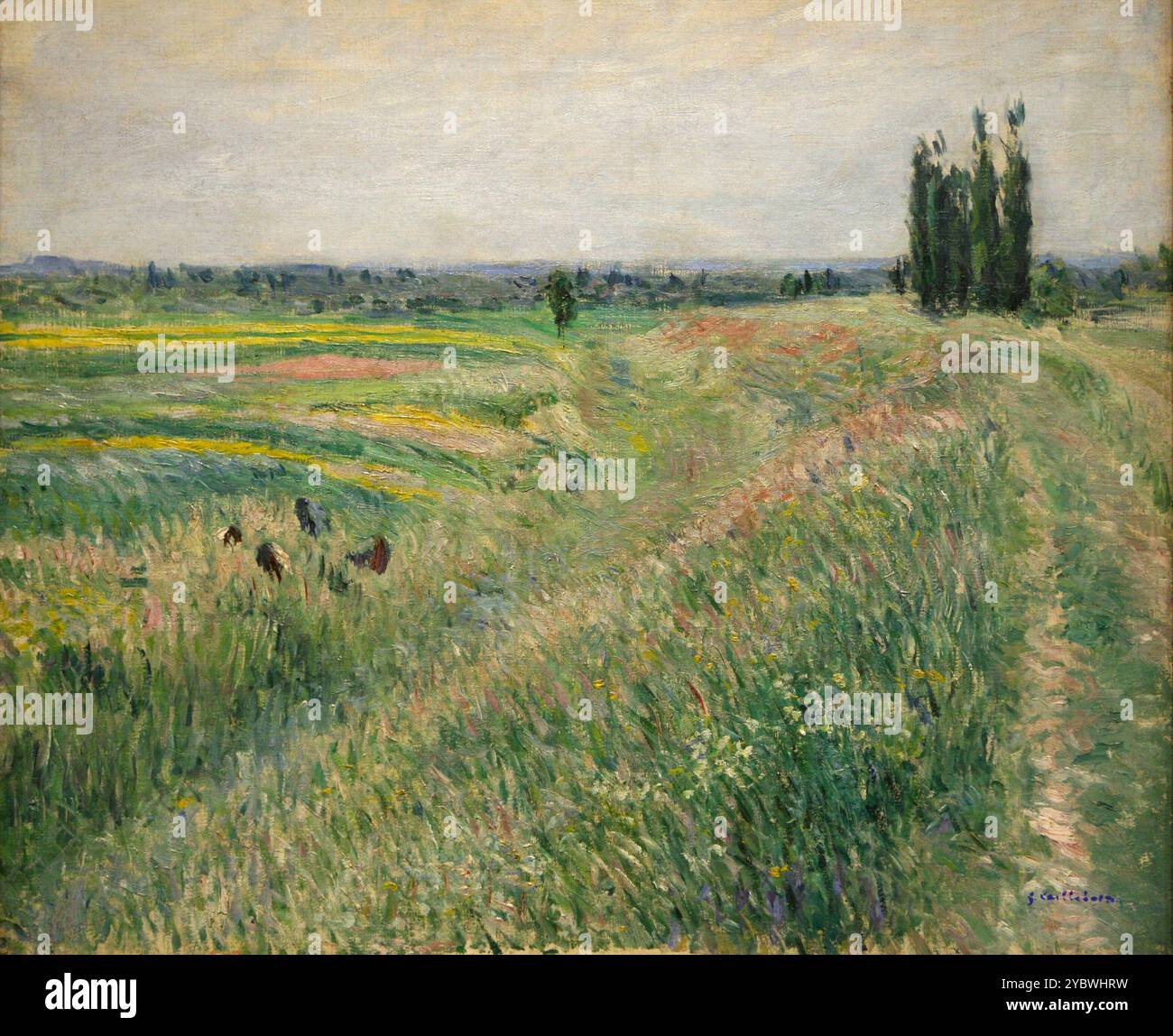 La plaine de Gennevilliers 1883 Gustave Caillebotte Banque D'Images