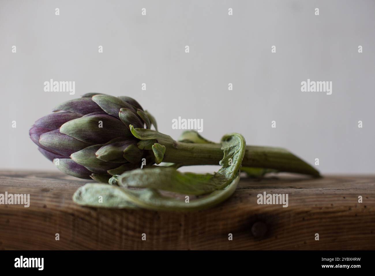 Photographie de mode de vie morte d'un artichocke unique couché sur un banc en bois. Banque D'Images