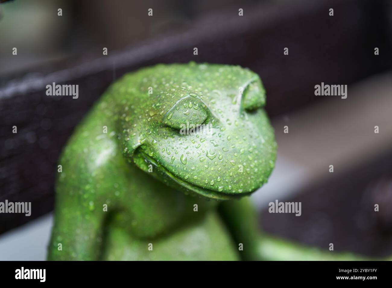 grenouille humide verte comme décoration avec de nombreuses gouttes de pluie dans un jardin sous de fortes pluies Banque D'Images