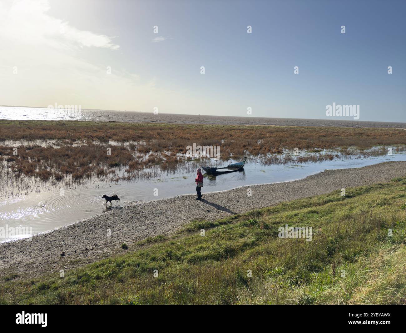 Femme et un chien dans l'estuaire de Ribble, Lytham St Annes, Fylde dans le Lancashire, Angleterre, Royaume-Uni Banque D'Images