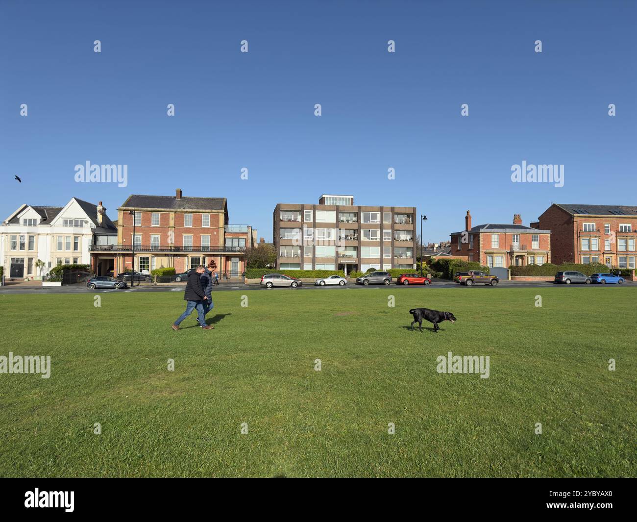 Promener un chien dans le vert, Lytham St Annes, Fylde dans le Lancashire, Angleterre, Royaume-Uni Banque D'Images