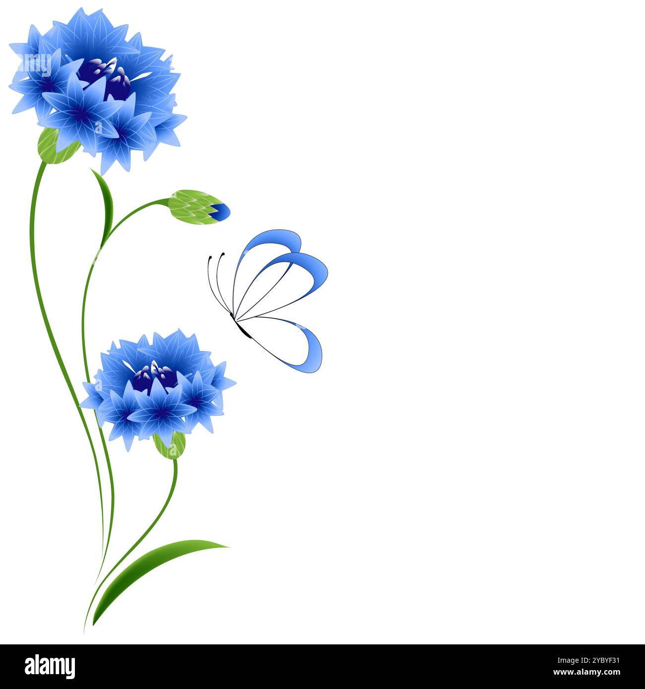 Fond floral avec bleuets bleus et papillon. Illustration de Vecteur