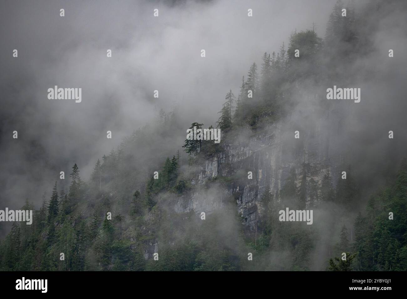 Brume dense sereine et mystique sur les forêts de Lackenberg, Autriche pendant l'été Banque D'Images