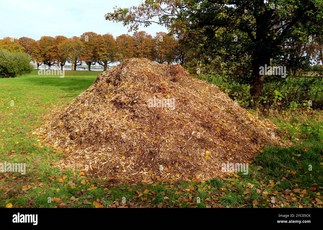 ...Und wieder ein Berg von mulche - geschreddertes Schnittgut wird direkt oder nach einer gewissen Lagerzeit als Bodenbelag im Gartenbau eingesetzt.... Mulche *** et encore une montagne de paillis déchiquetés boutés sont utilisés directement ou après une certaine période de stockage comme couverture du sol dans l'horticulture paillis Banque D'Images