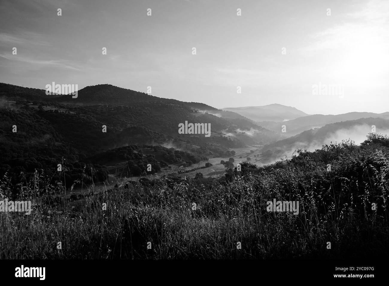 Le paysage naturel exubérant du Supramonte d'Orgosolo qui accueille le gouffre de Tiscali avec le village post-nuragique, Orgosolo, Nuoro, Sardaigne Banque D'Images