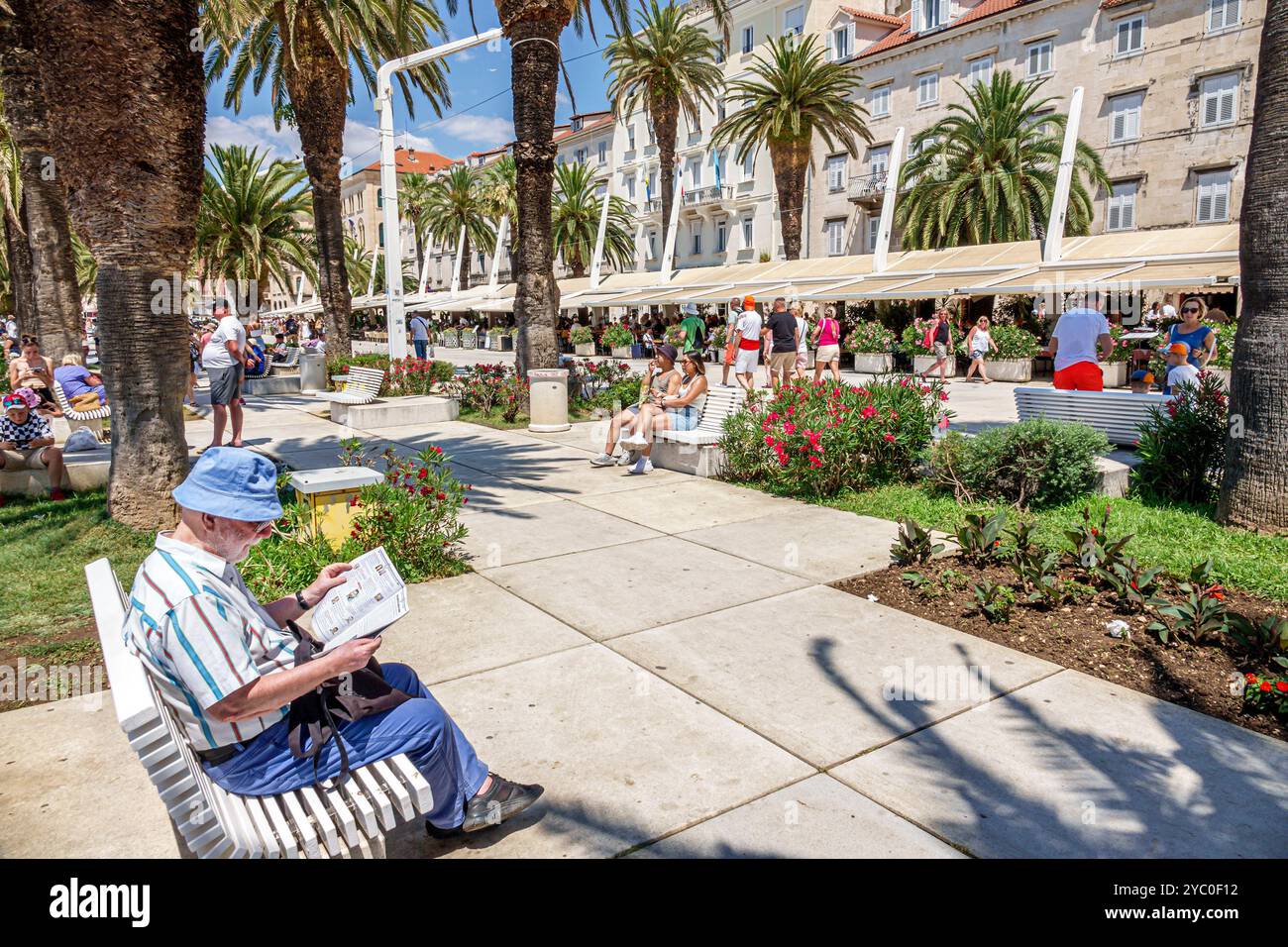 Split Croatie, Splitska Riva promenade front de mer promenade, homme lisant le journal, banc de parc, al fresco restaurants, croate Europe européenne UE, v Banque D'Images