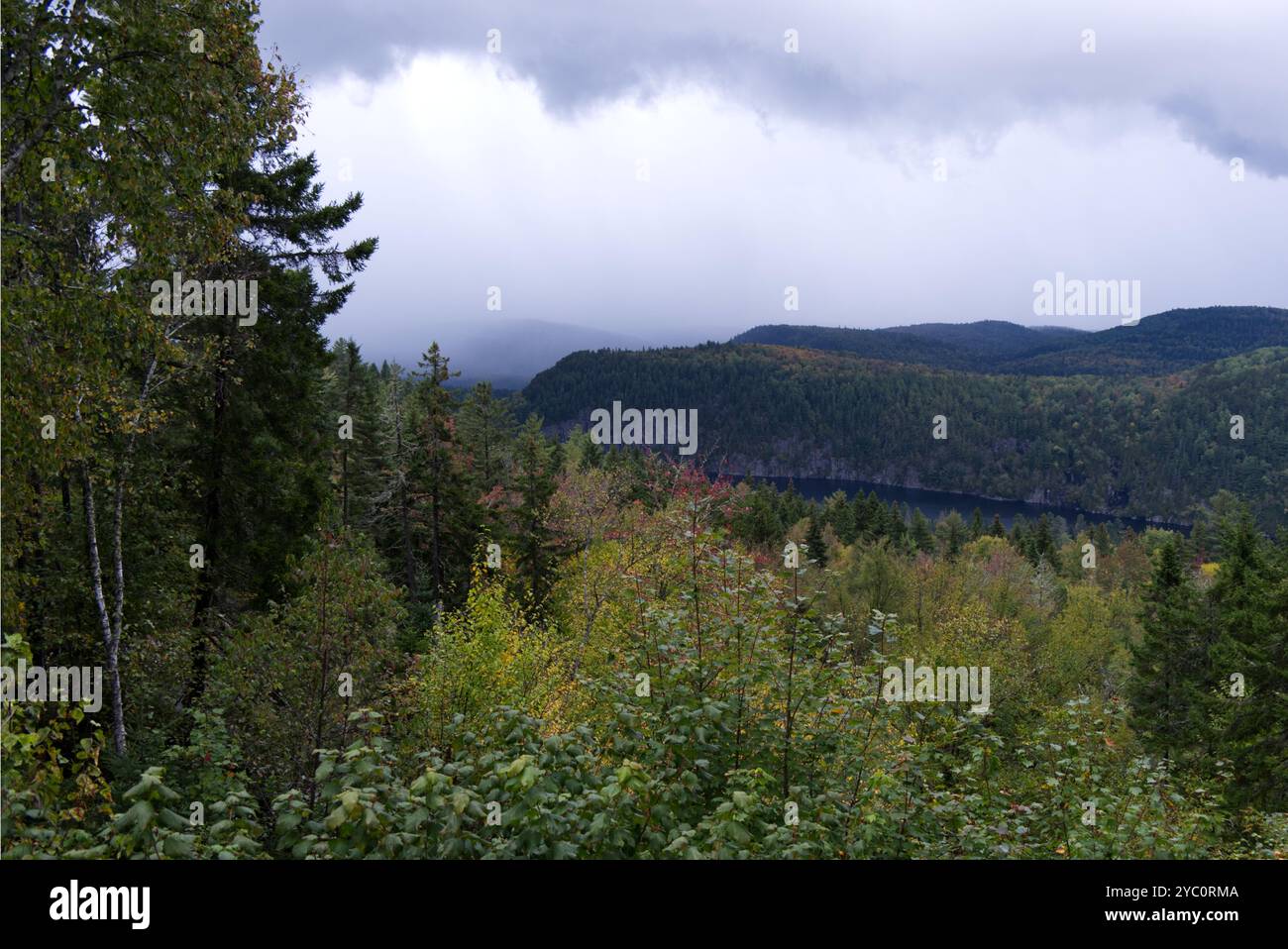 Parc national de la Mauricie - vide-bouteille Banque D'Images