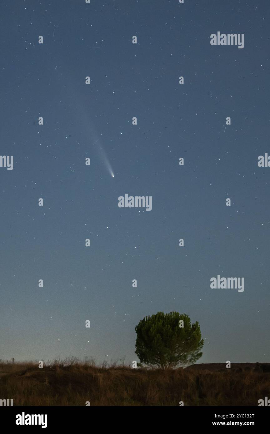 Cuellar, Espagne. 20 octobre 2024. La comète C/2023 A3 (ATLAS de Tsuchinshan), connue aussi sous le nom de « comète du siècle », traverse le ciel. Crédit : Marcos del Mazo/Alamy Live News Banque D'Images