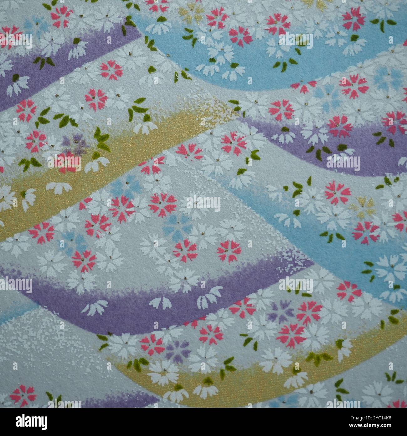 motifs floraux colorés sur le fond multicolore Banque D'Images