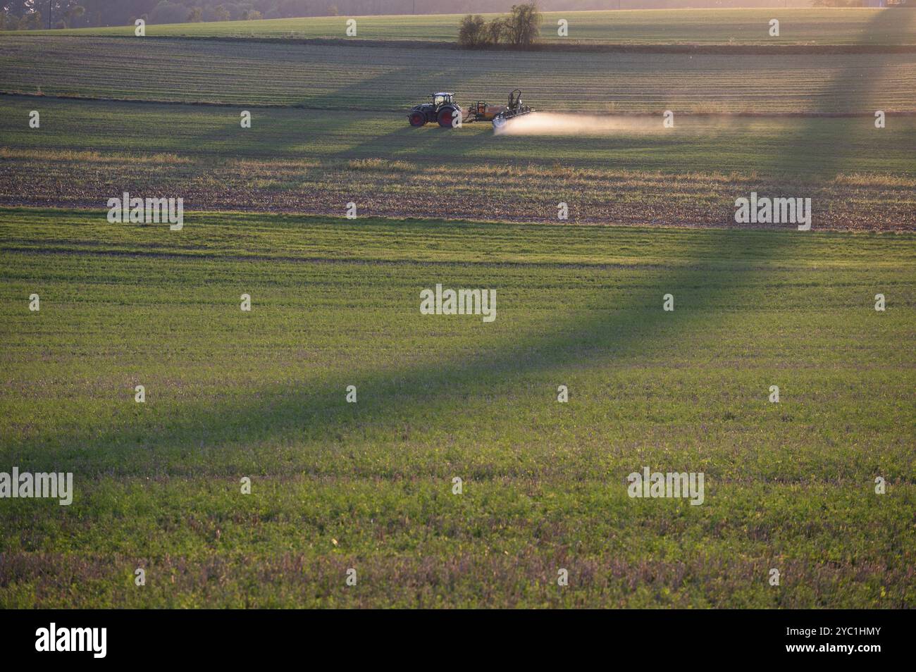 Agriculteur pulvérisant ses prairies dans la soirée, Bavière, Allemagne, Europe Banque D'Images