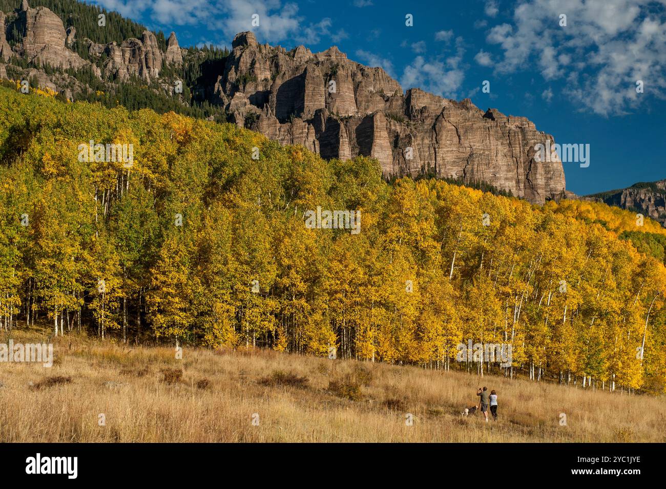 Un couple et leur chien apprécient le paysage des falaises volcaniques de tuf de High Mesa dans la vallée supérieure de Cimarron du Colorado avec des trembles en plein automne co Banque D'Images