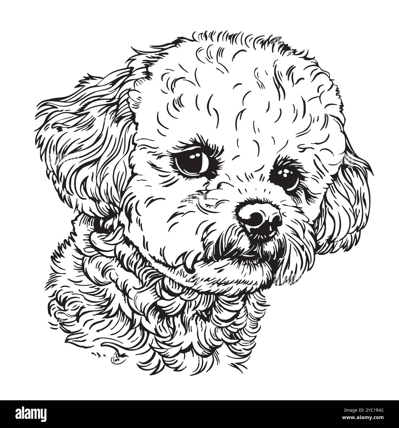 Dessin à la main d'un jouet en forme de caniche dans une illustration de style de caniche Illustration de Vecteur