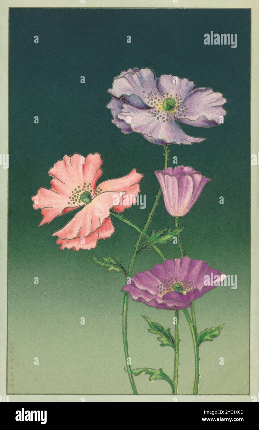 Carte postale illustrée vintage de fleurs sur fond vert. Publié par Misch & Co à partir de leur série 'Flowers Gay'. Banque D'Images