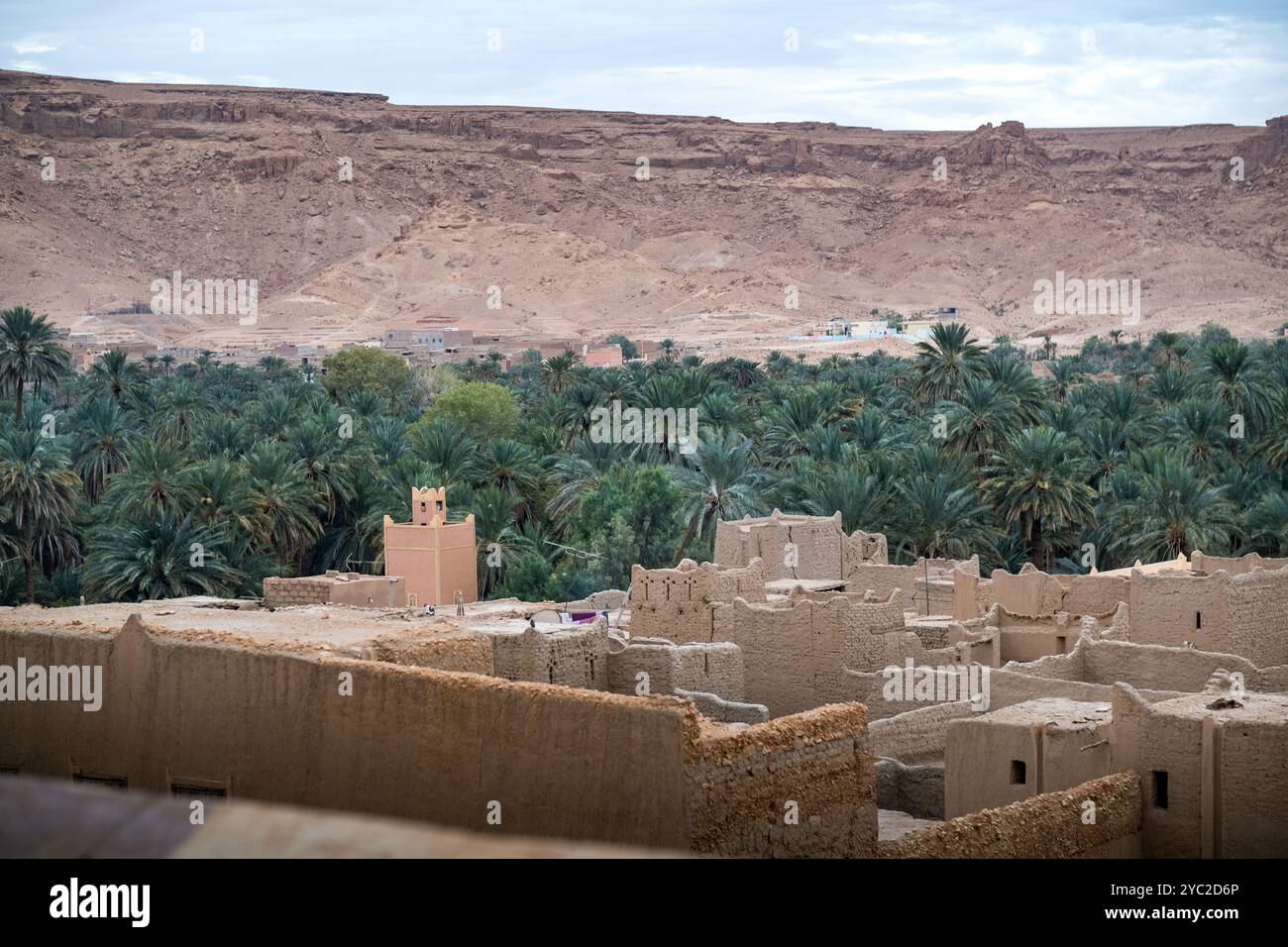 Petite ville et mosquée dans l'immense oasis de Tafilalet au Maroc, Afrique du Nord. La plus grande oasis du monde. Rivière Ziz au milieu du désert Banque D'Images