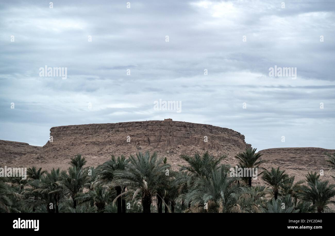 Vue frontale panoramique de l'oasis de Tafilalet au Maroc, Afrique du Nord. Le plus grand au monde. Rivière Ziz et palmiers au milieu du désert entre Banque D'Images
