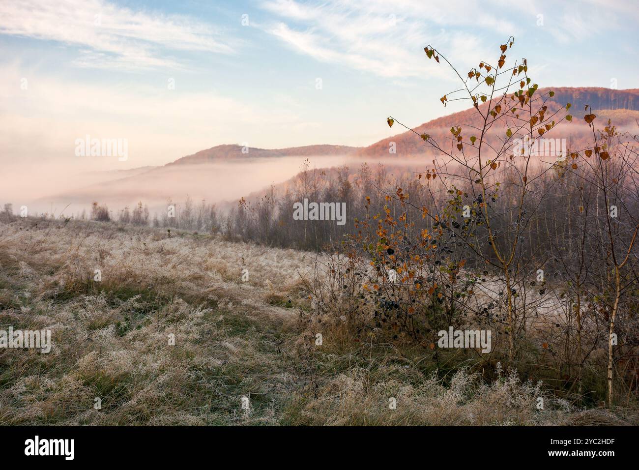 paysage de montagne avec champ et brouillard au loin. pays des merveilles effrayant de l'ukraine. paysage de campagne en automne au lever du soleil. novembre froid Banque D'Images