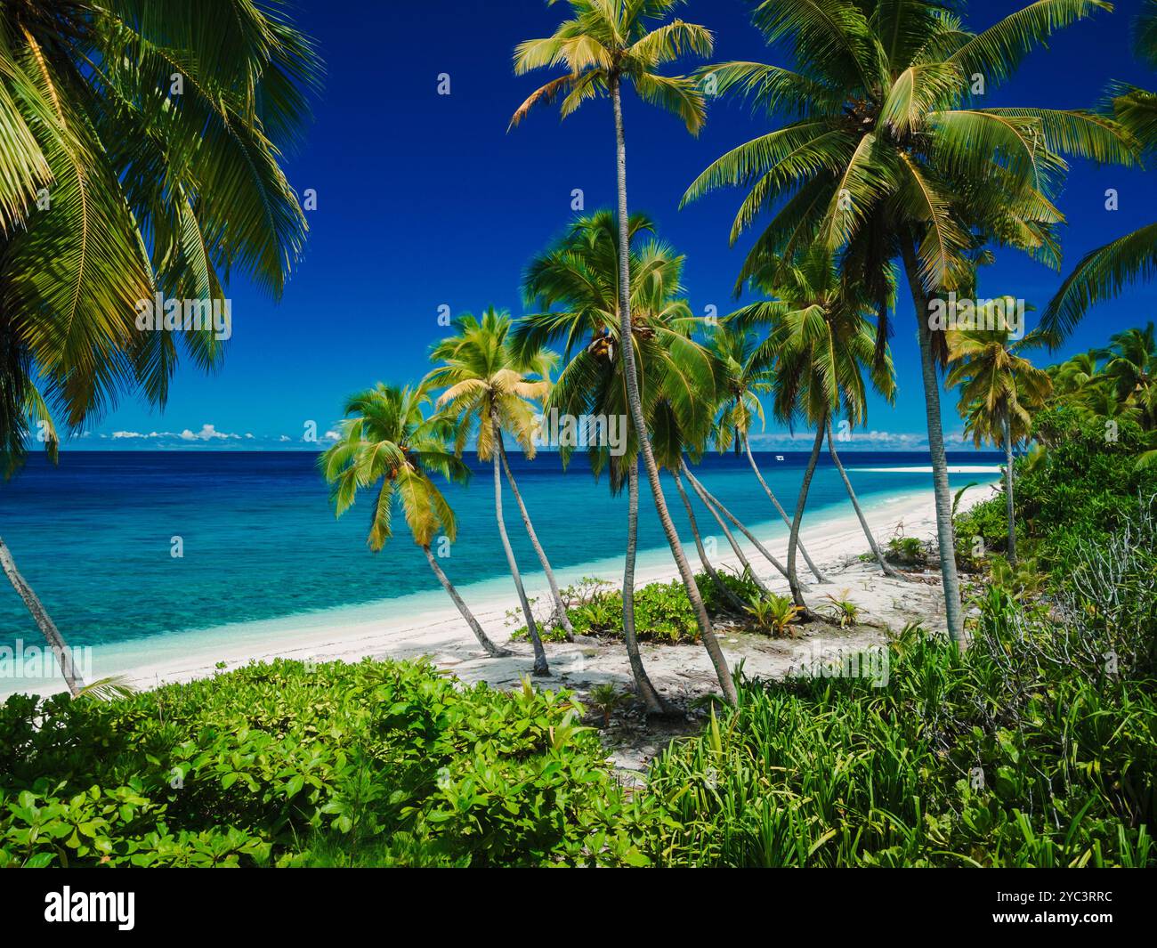 Belle plage tropicale paradisiaque avec des cocotiers sur l'île maldive. Bannière de vacances de voyage. Banque D'Images