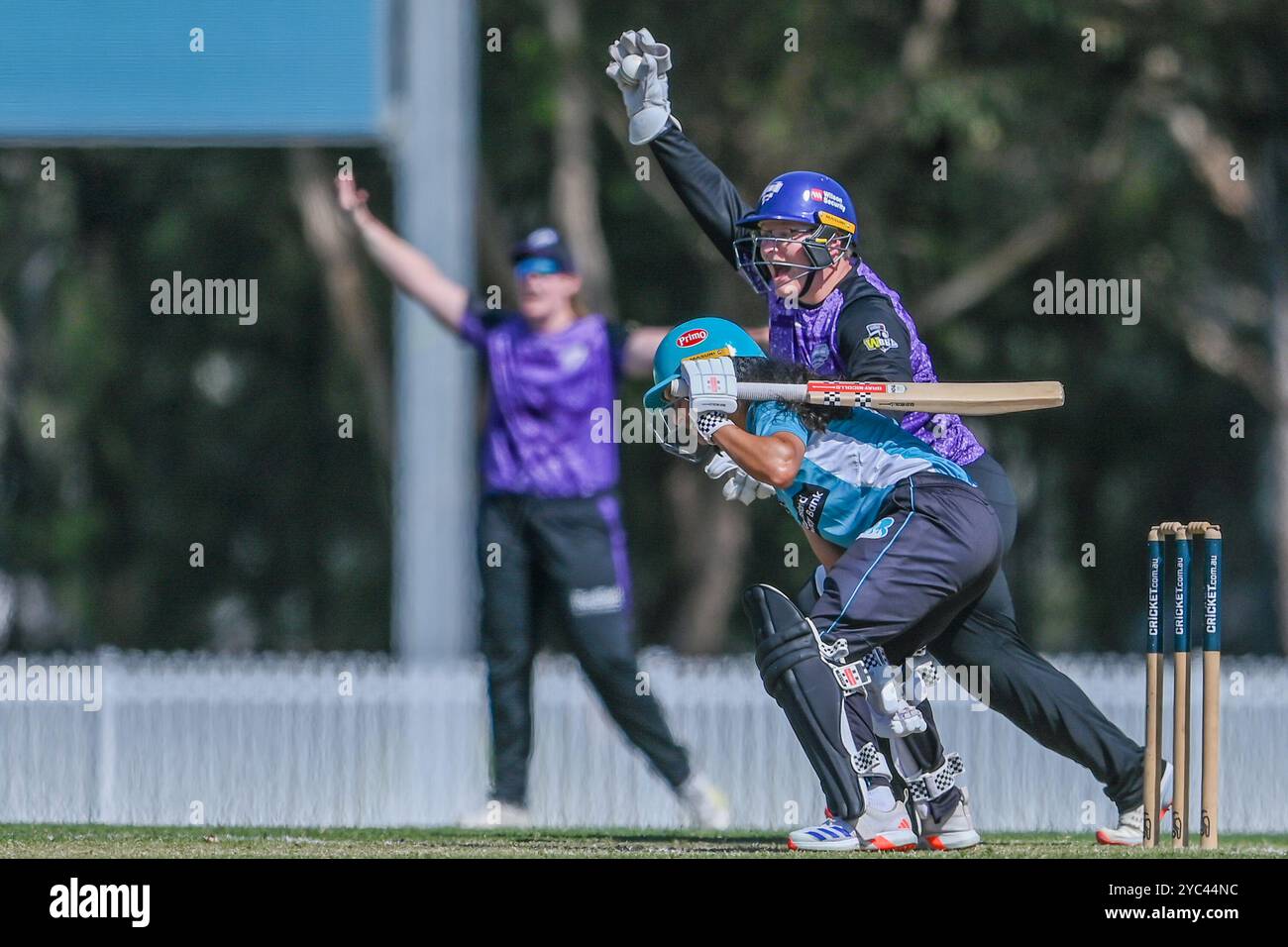 Sydney, Australie. 20 octobre 2024. Lizelle Lee de Hobart Hurricanes prend la main pour renvoyer Sianna Ginger attrapée derrière lors du match final du T20 Spring Challenge entre Brisbane Heat et Hobart Hurricanes à Cricket Central. Hobart Hurricanes a remporté l'édition inaugurale du T20 Spring Challenge, un nouveau tournoi national de cricket féminin australien, en battant Brisbane Heat par 5 guichets dans le dernier ballon du match. Brisbane Heat : 133/9, Hobart Hurricanes : 134/5. Crédit : SOPA images Limited/Alamy Live News Banque D'Images