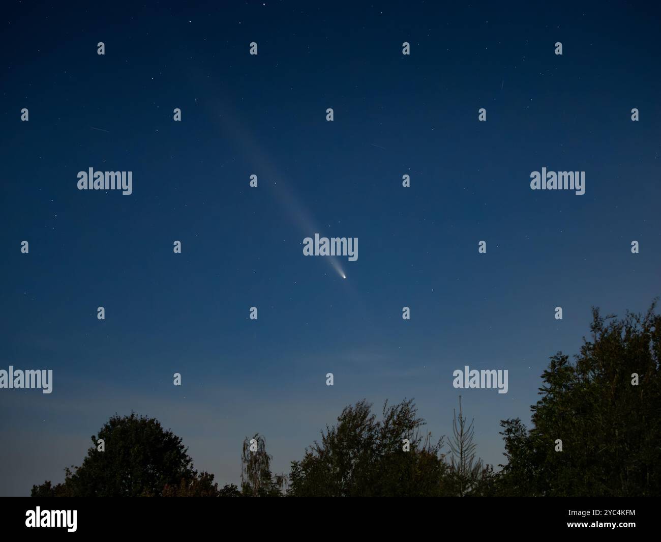 Comète Tsuchinshan ATLAS C 2023 A3 sur le ciel vu autour de l'Allemagne sur le 15. Octobre 2024. La queue est très longue et visible pendant la nuit. Banque D'Images