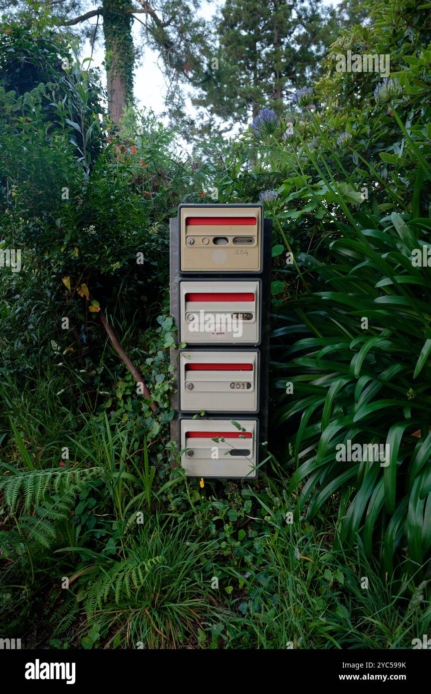 Pile de boîtes aux lettres vintage nichées au milieu de la verdure luxuriante à Madère Banque D'Images