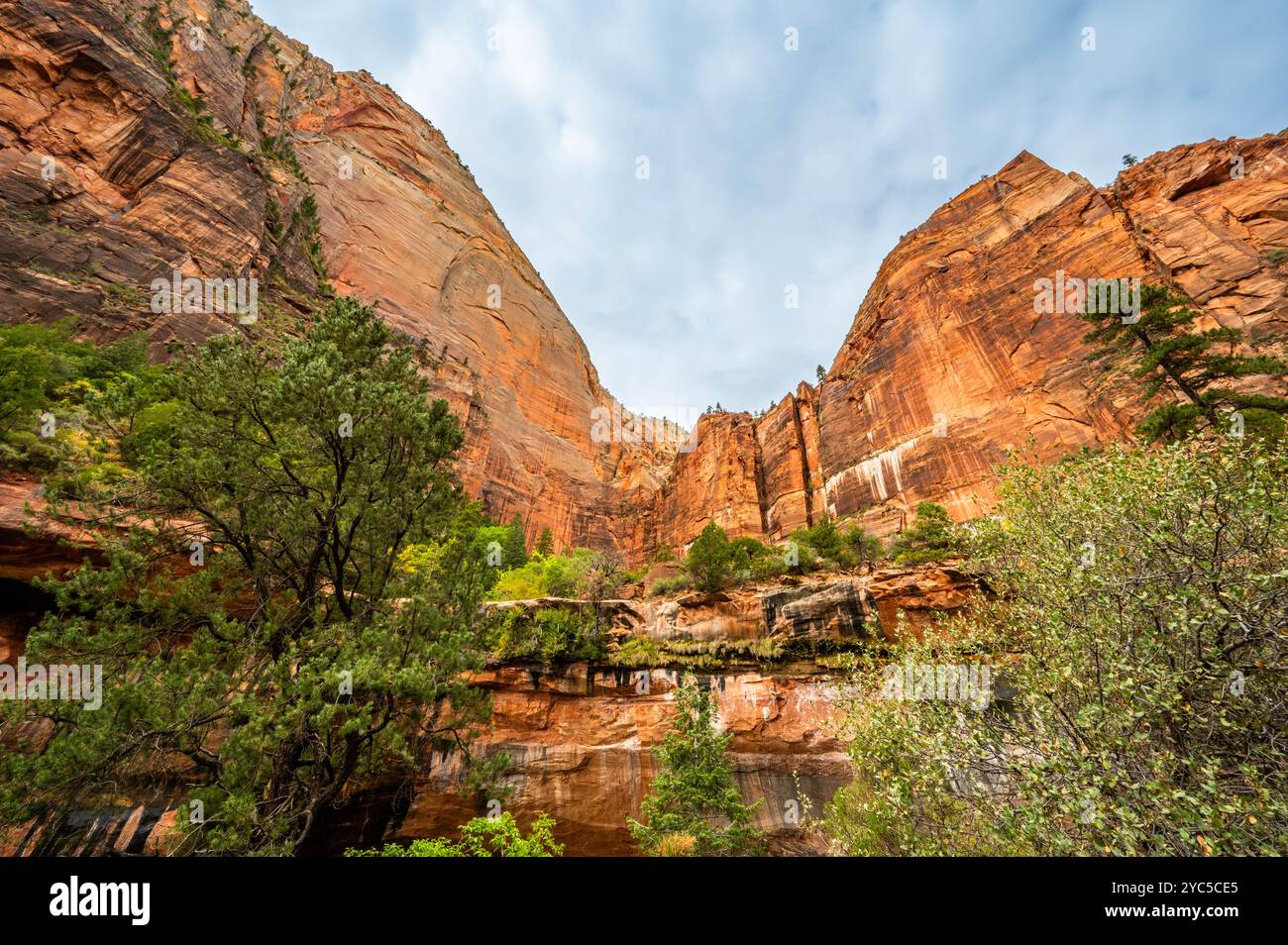 Randonnée dans la piscine émeraude du parc national de Zion à l'automne 2024 Banque D'Images