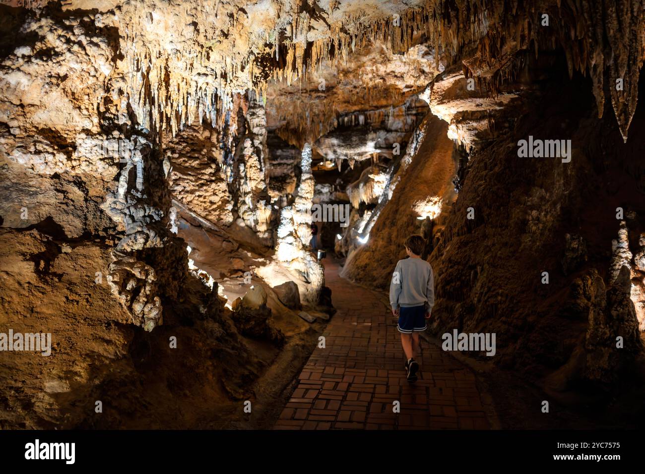 LURAY, Virginie, États-Unis — le vaste réseau de grottes de Luray Caverns présente diverses formations calcaires créées au cours de millions d'années. Ces grottes, découvertes en 1878, présentent des colonnes dramatiques, stalactites, stalagmites, et de la pierre à flot dans leurs chambres connectées. Les cavernes représentent l'un des systèmes de grottes les plus visités et les mieux préservés de l'est des États-Unis. Banque D'Images