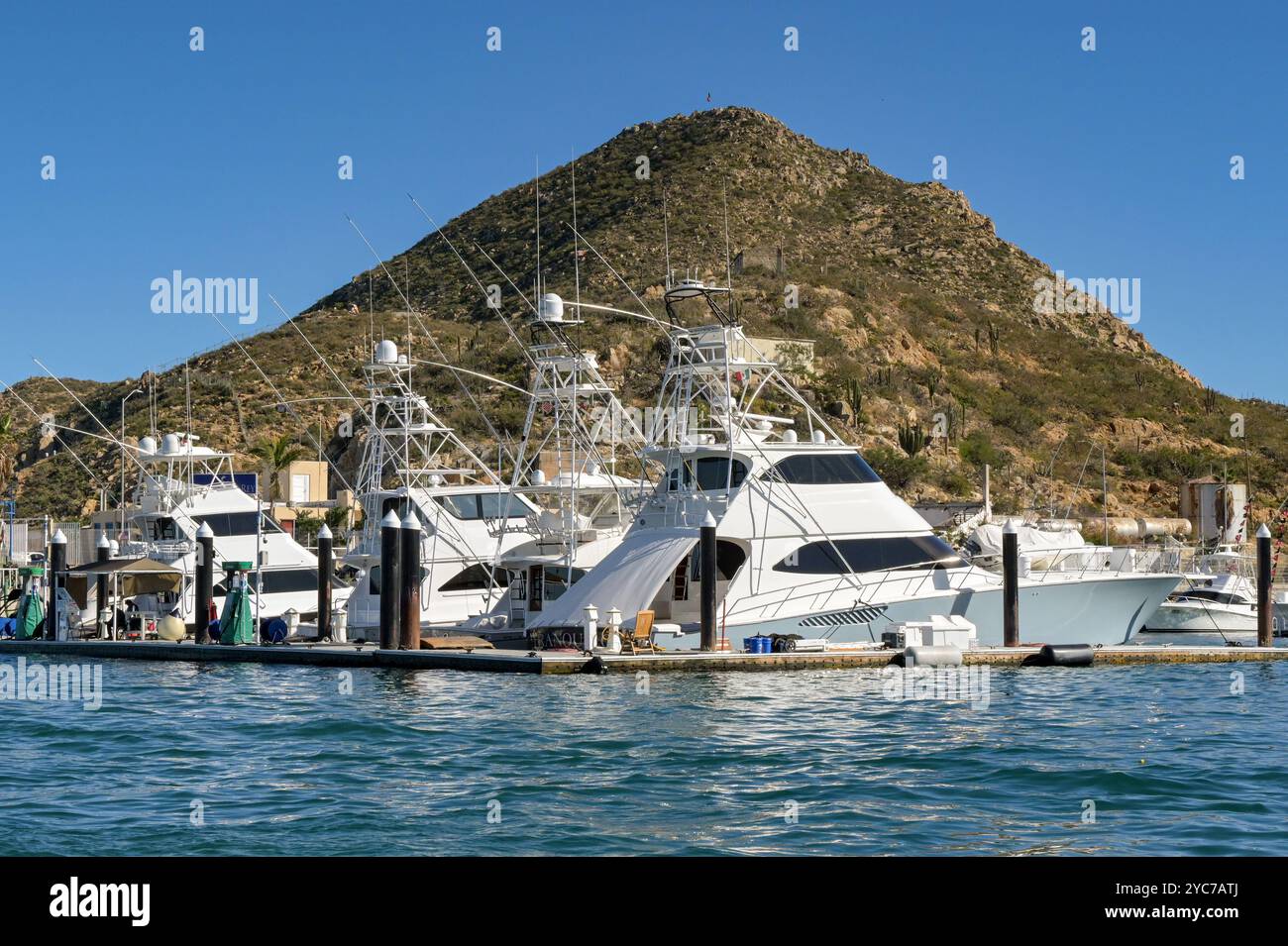 Cabo San Lucas, Mexique - 14 janvier 2024 : bateaux de pêche de luxe amarrés dans le port de Cabo San Lucas Banque D'Images