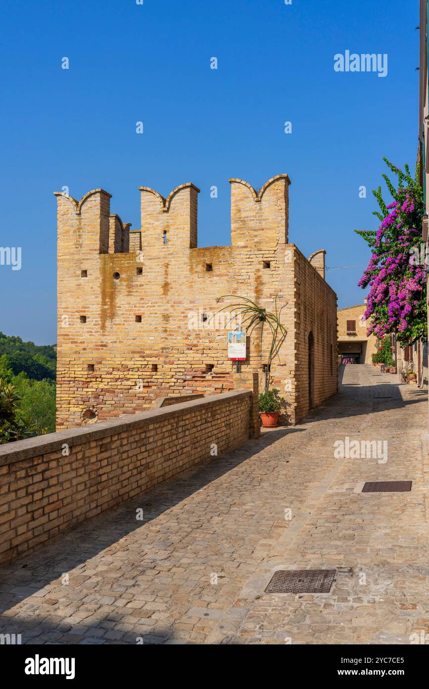 Tour crénelée, XIII c., Torre di Palme, Fermo, Ascoli Piceno, Marche, Italie Banque D'Images