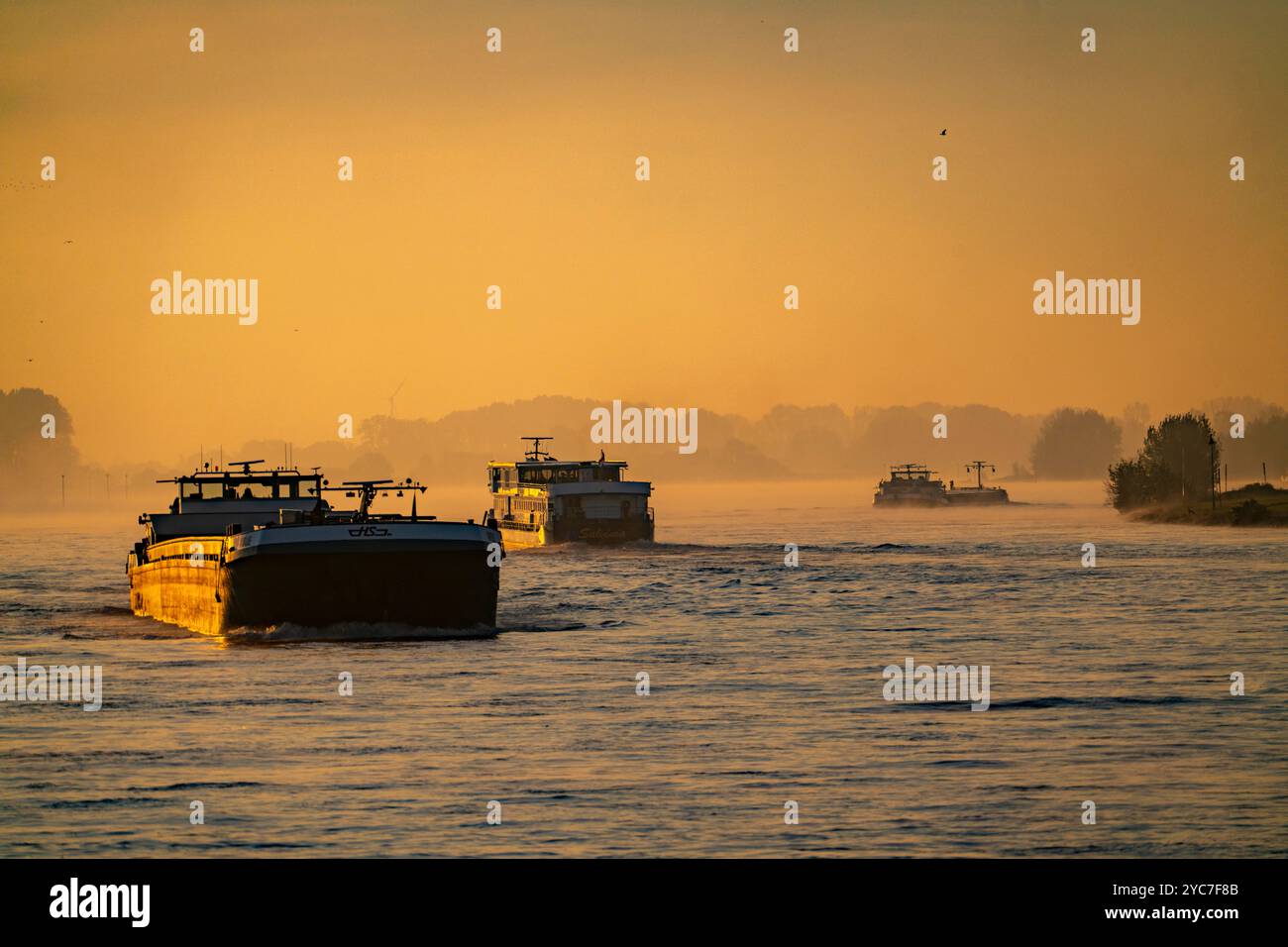 Navires de charge sur le Rhin près d'Emmerich, tôt le matin, lever du soleil, brouillard, brume sur le fleuve, NRW, Allemagne, Banque D'Images