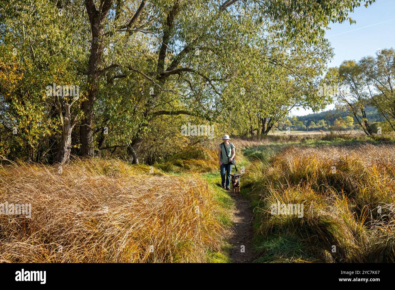 Une femme avec un chien en voyage dans le paysage d'automne. Journée ensoleillée dans l'herbe d'automne, les buissons et les arbres. Banque D'Images