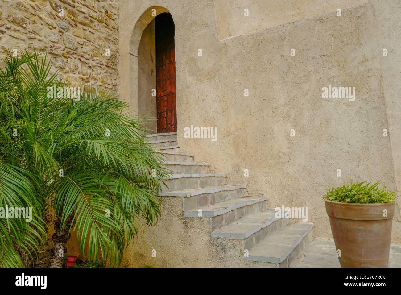 Porte cloutée et marches avec plantes en pot, Musée de la Kasbah, Tanger, Maroc Banque D'Images