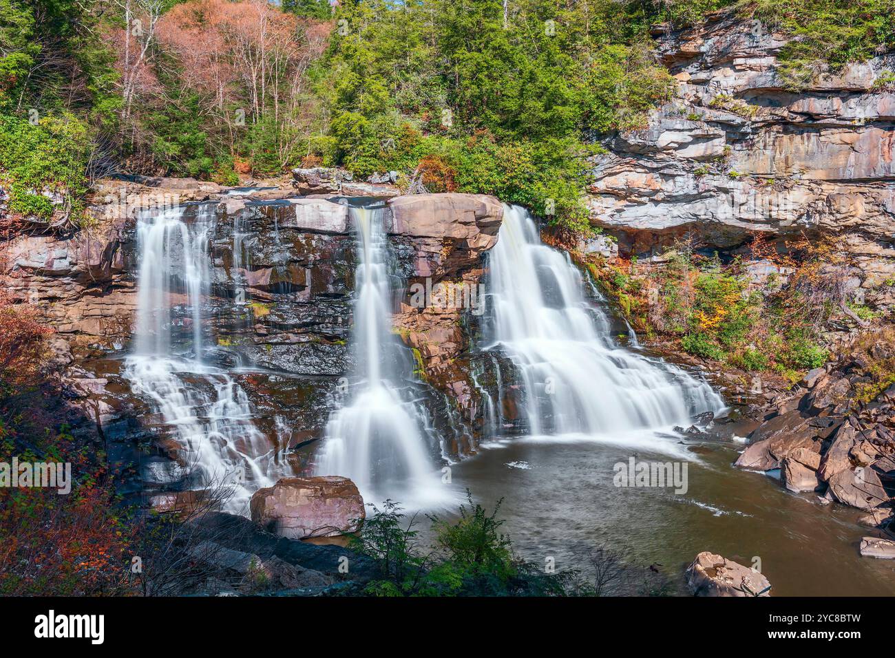 Blackwater Falls le long de la rivière Blackwater dans le parc national de Blackwater Falls. Virginie occidentale. ÉTATS-UNIS Banque D'Images