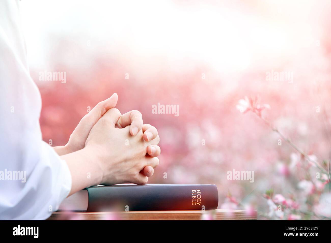 Chrétien priant et adorant avec les deux mains accrochées sur la Bible sainte, avec un beau champ de fleurs en arrière-plan Banque D'Images