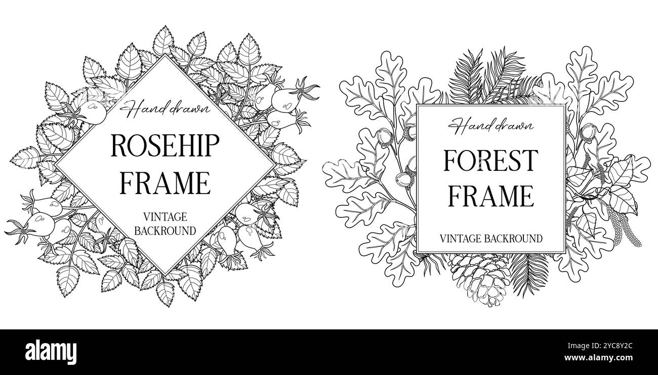 Cadres botaniques dessinés à la main avec des feuilles et des fleurs. Illustration vectorielle dans le style d'esquisse isolé sur blanc. Élément réaliste de conception de forêt. Espace pour Illustration de Vecteur