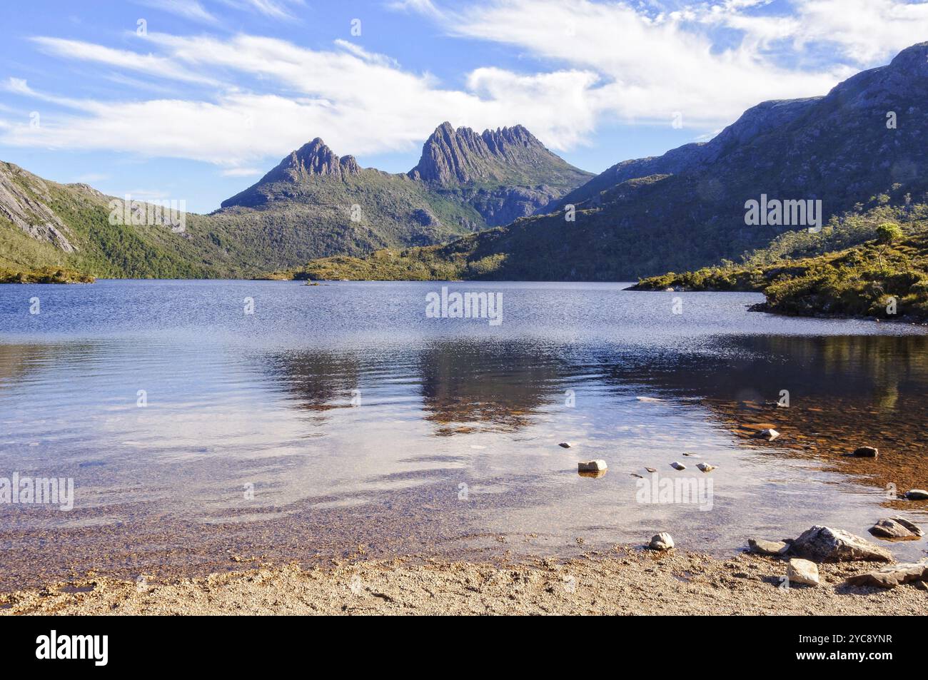 Un endroit paisible sur les rives du lac Dove sous la montagne accidentée de Cradle, Tasmanie, Australie, Océanie Banque D'Images