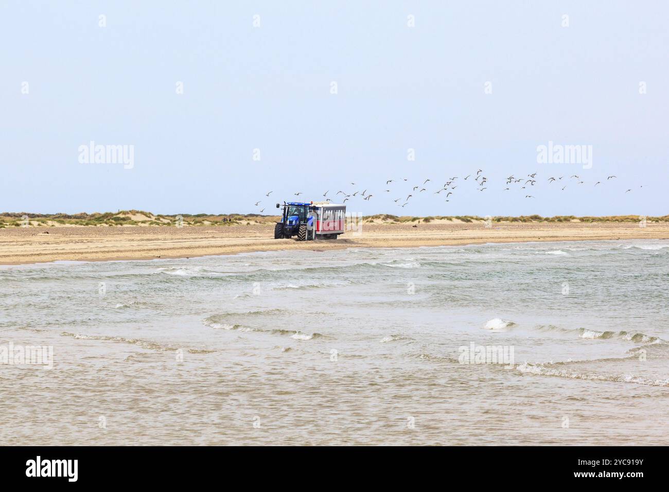 Tracteur avec voiture de passagers sur la plage à Skagen, Danemark, Europe Banque D'Images