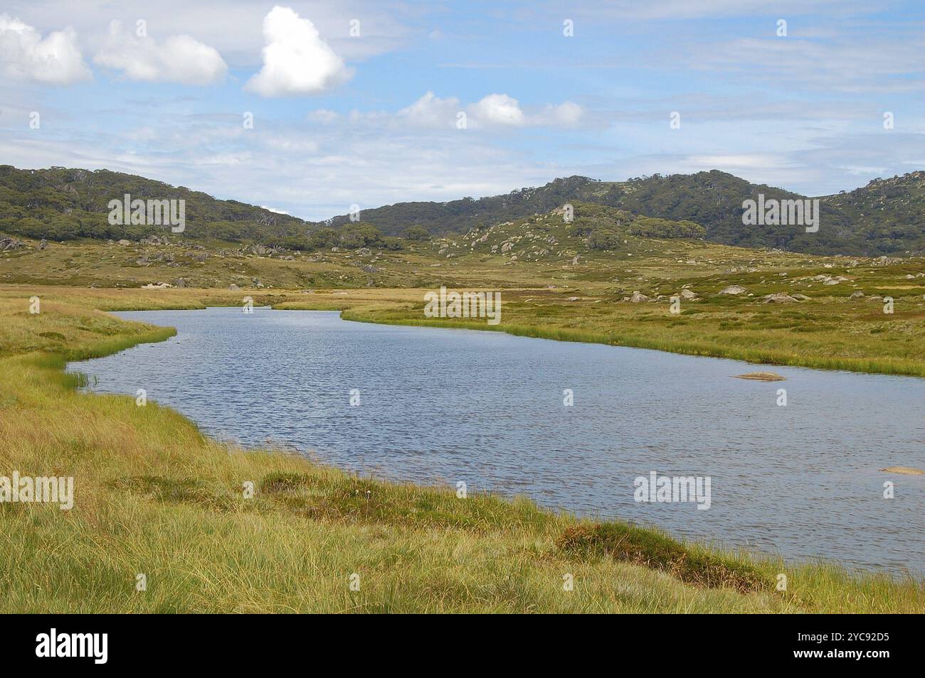 Creek au-dessus de Thredbo dans les Snowy Mountains, Nouvelle-Galles du Sud, Australie, Océanie Banque D'Images