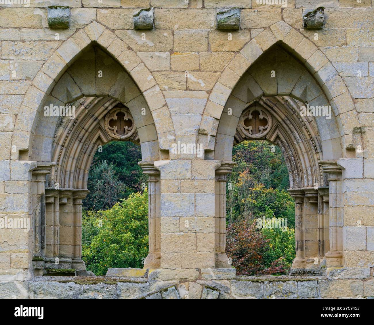 Fenêtres de l'abbaye de Rievaulx Banque D'Images