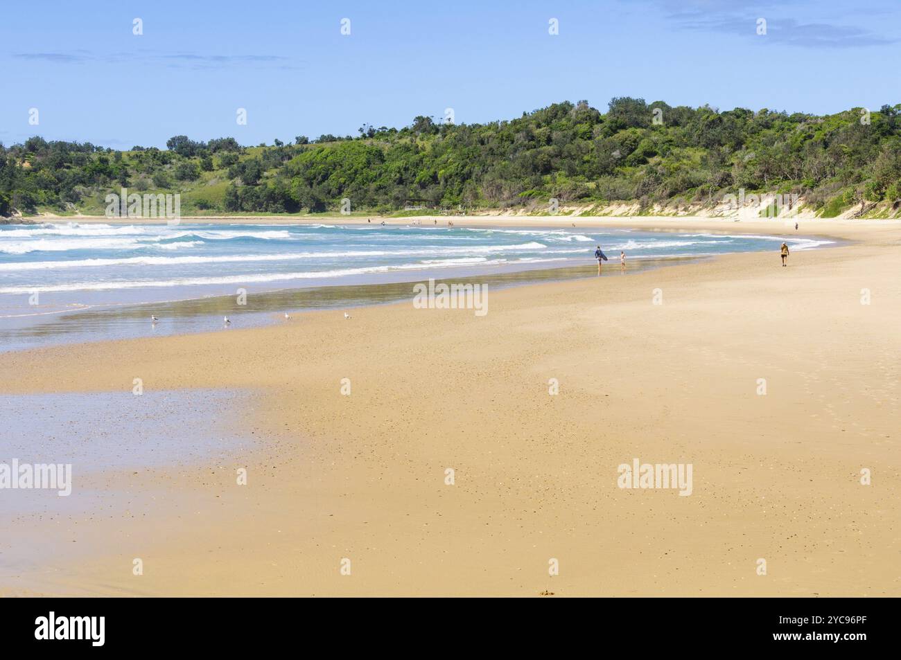 Marée basse sur Diggers Beach, Coffs Harbour, NSW, Australie, Océanie Banque D'Images